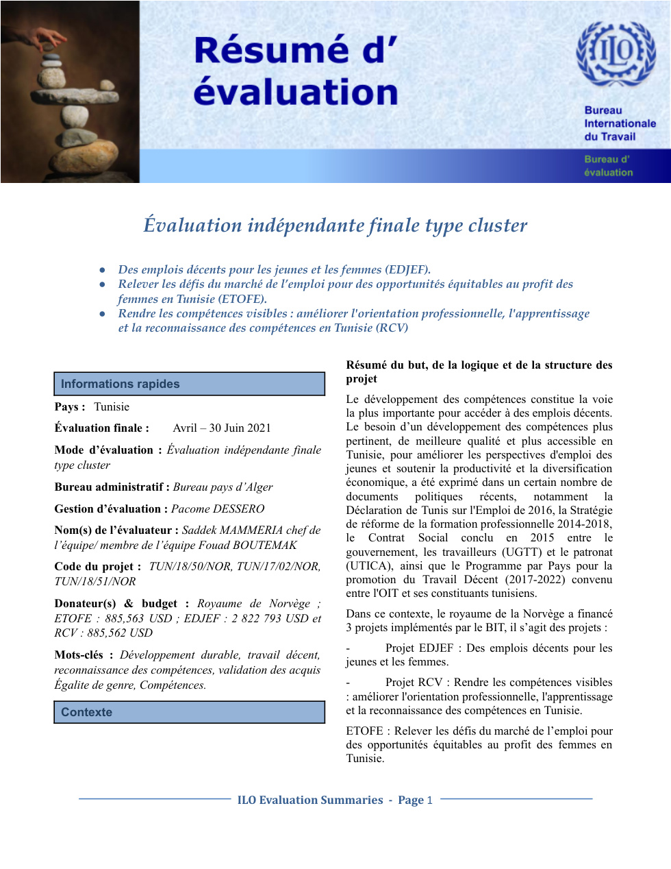 Résumé de l’évaluation – Type Cluster
